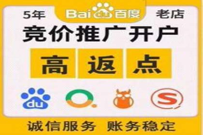 电商平台信息流广告的创意与执行案例分析